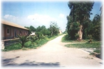 Iталiя Penzión Giugliano in Campania, Екстер'єр